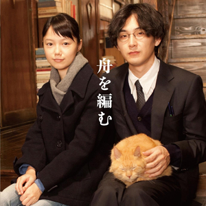 老肥赵邦贺的最新视频
