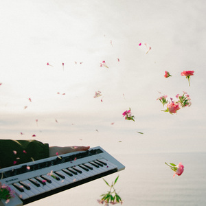 老肥赵邦贺的最新视频
