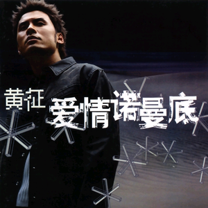 老肥赵邦贺的最新视频
