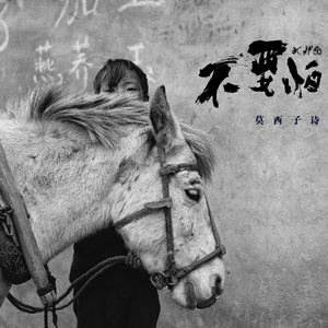 老肥赵邦贺的最新视频
