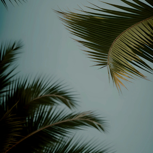 老肥赵邦贺的最新视频
