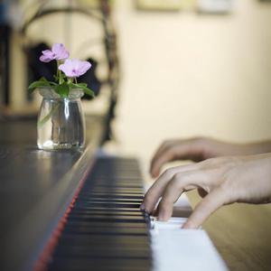 老肥赵邦贺的最新视频
